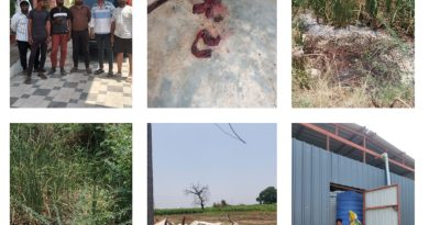 मोठी कारवाई: बारामतीत अवैध गोवंश कत्तलखान्यावर छापा; ५५ हजारांचा मुद्देमाल जप्त!